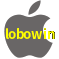 Aplicativo lobowin para iOS